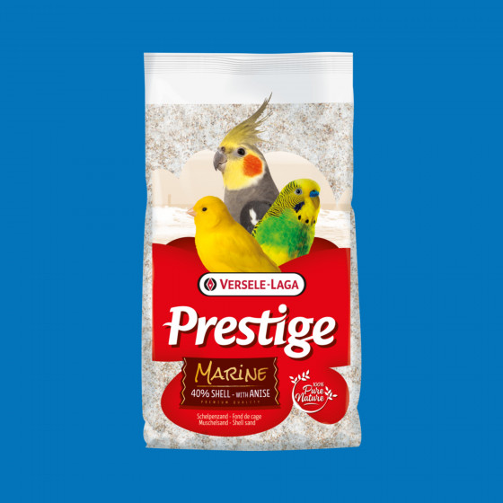 Fond de cage blanc aux coquilles d’huîtres – frais & propre