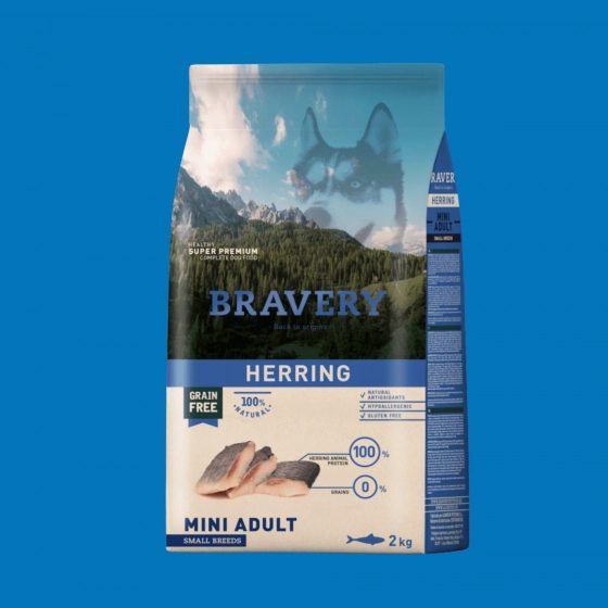 Croquettes mini hareng sans céréales – Bravery