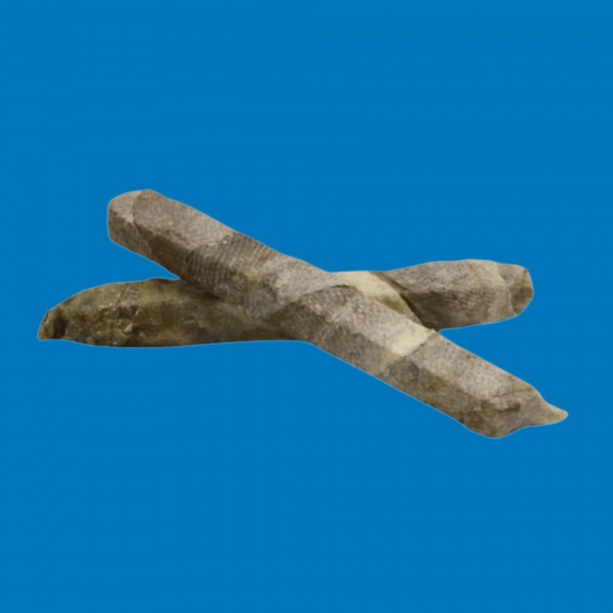 Briquette de Morue (20cm)