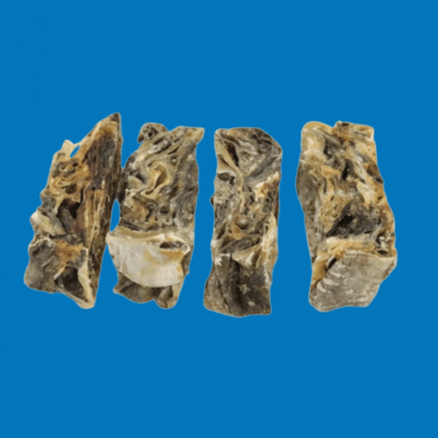 Lamelle de Morue Séchée – Friandise Chien Digestible