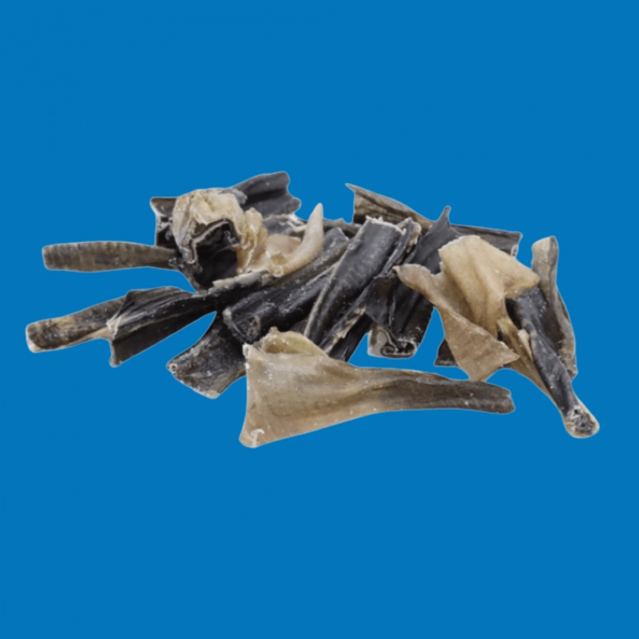 Peau de Poisson-Chat – Snack Naturel pour Chien Peau de Poisson-Chat – Snack Naturel pour Chien