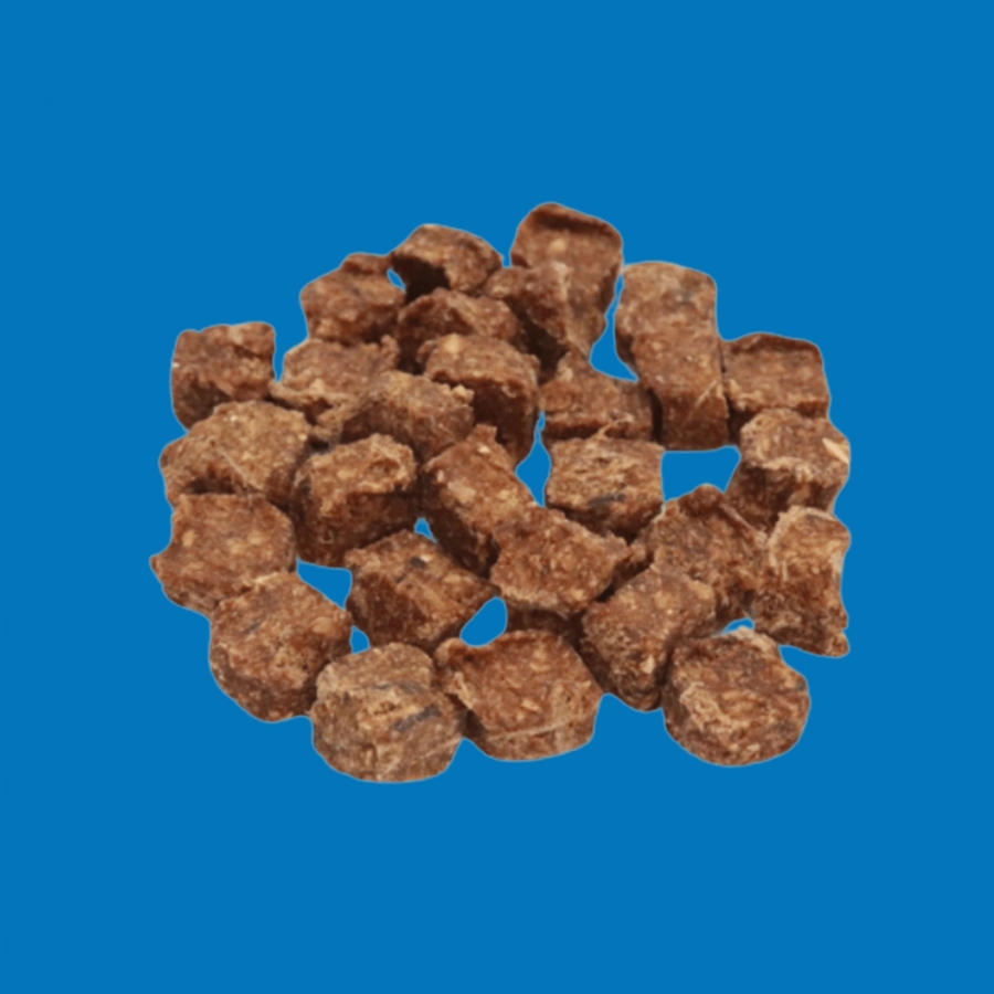 Cube de Saumon Séché – Snack Gourmand pour Chien Cube de Saumon Séché – Snack Gourmand pour Chien
