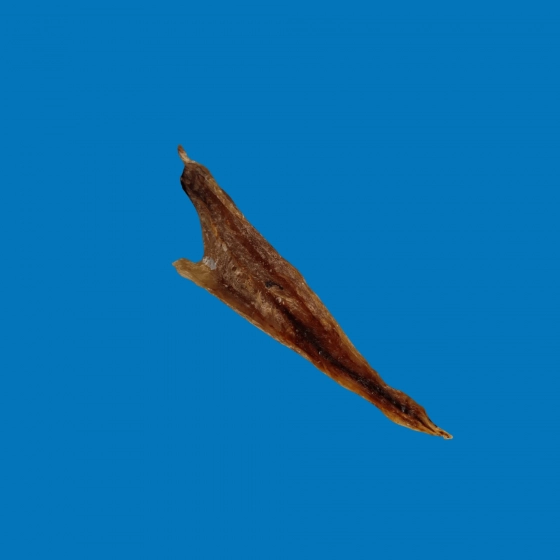 Filet d'Eglefin - 100g