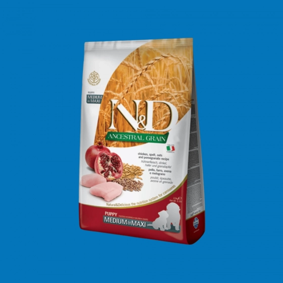 Chiot Poulet & Grenade N&D Ancestral Grain Farmina