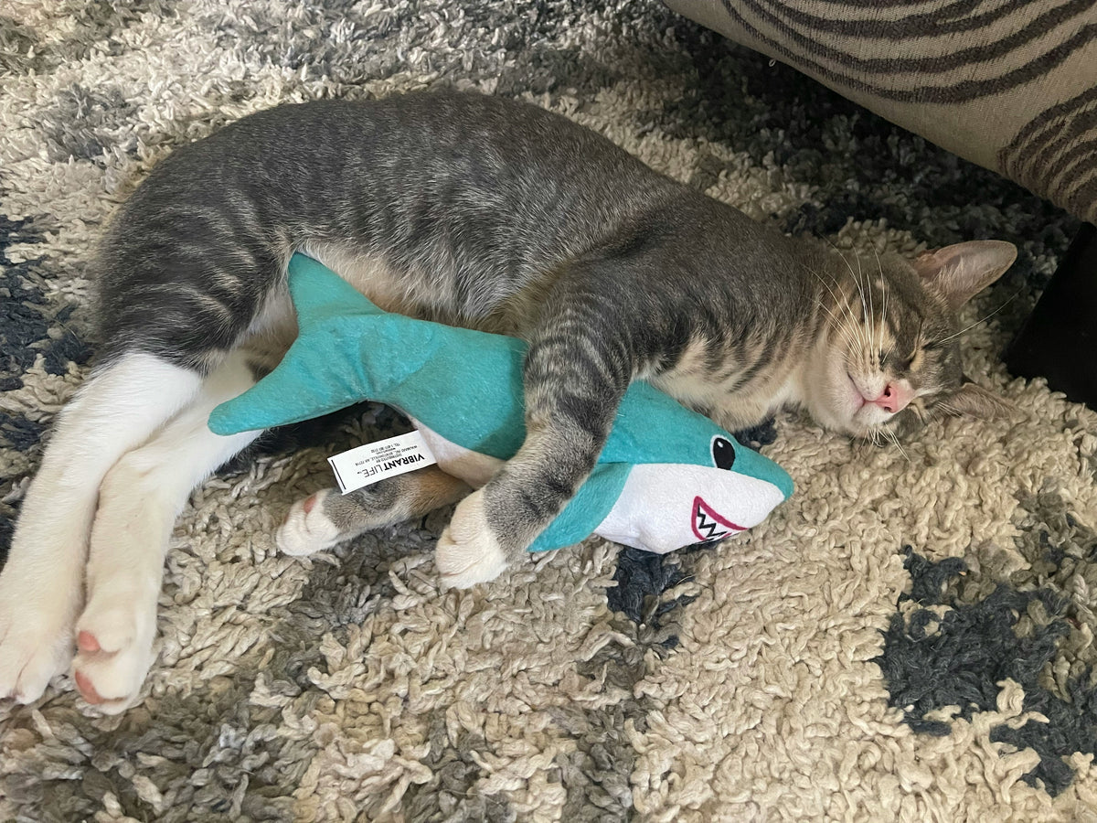 Peluches pour Chat