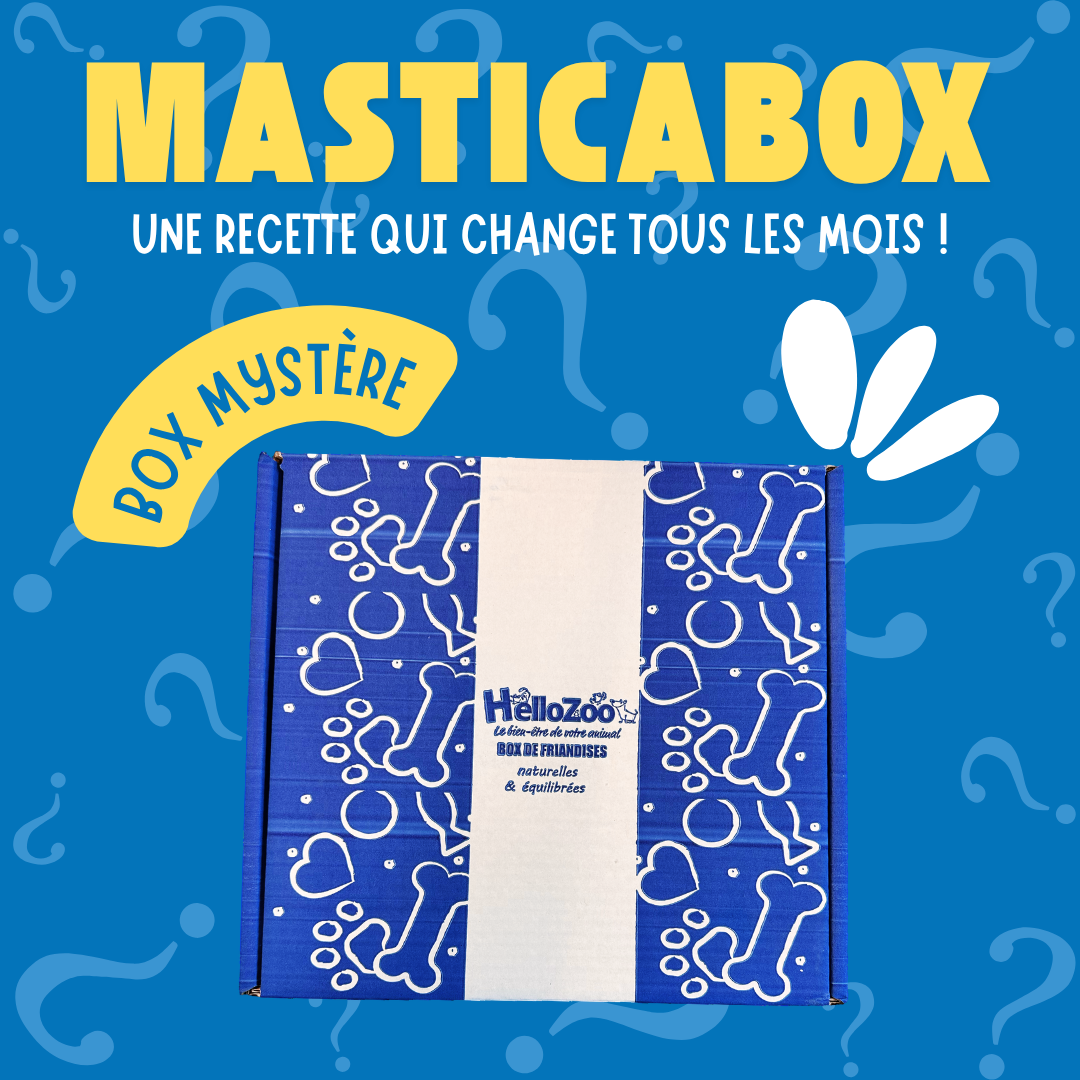 Masticabox