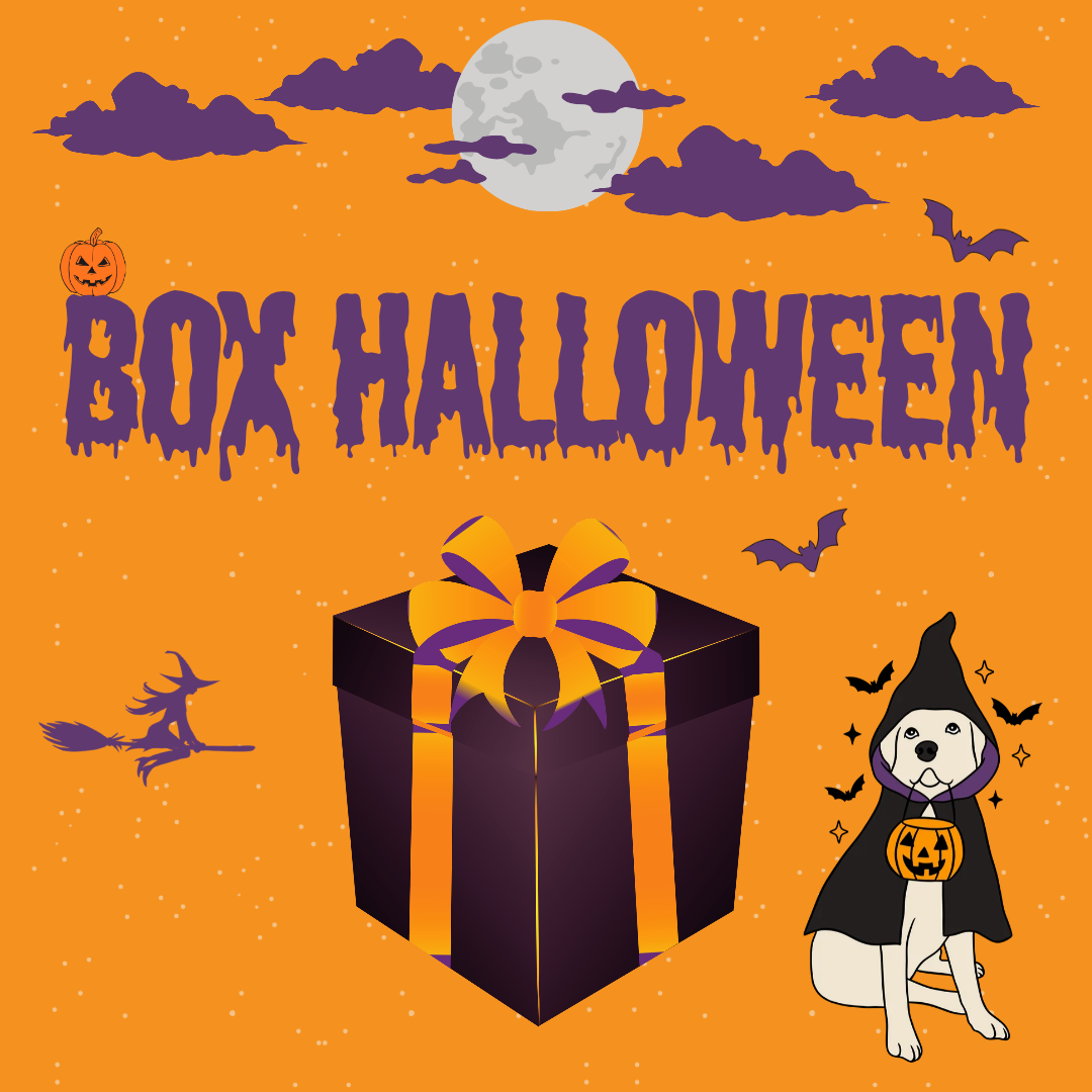 Précommande - Box Halloween🎃