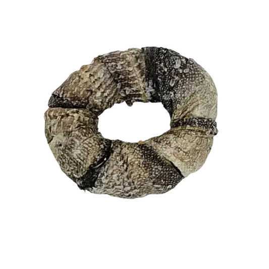 Anneau de Morue