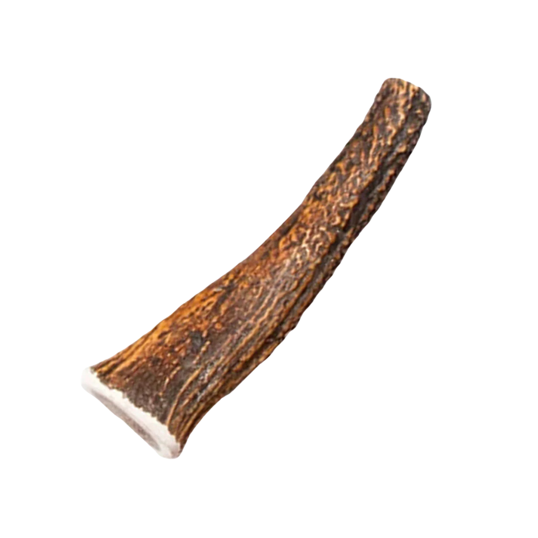 Bois de Cerf Entier Premium