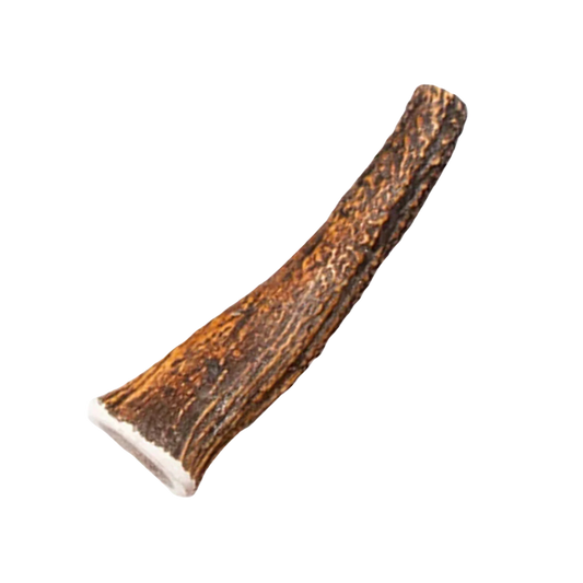 Bois de Cerf Entier Premium