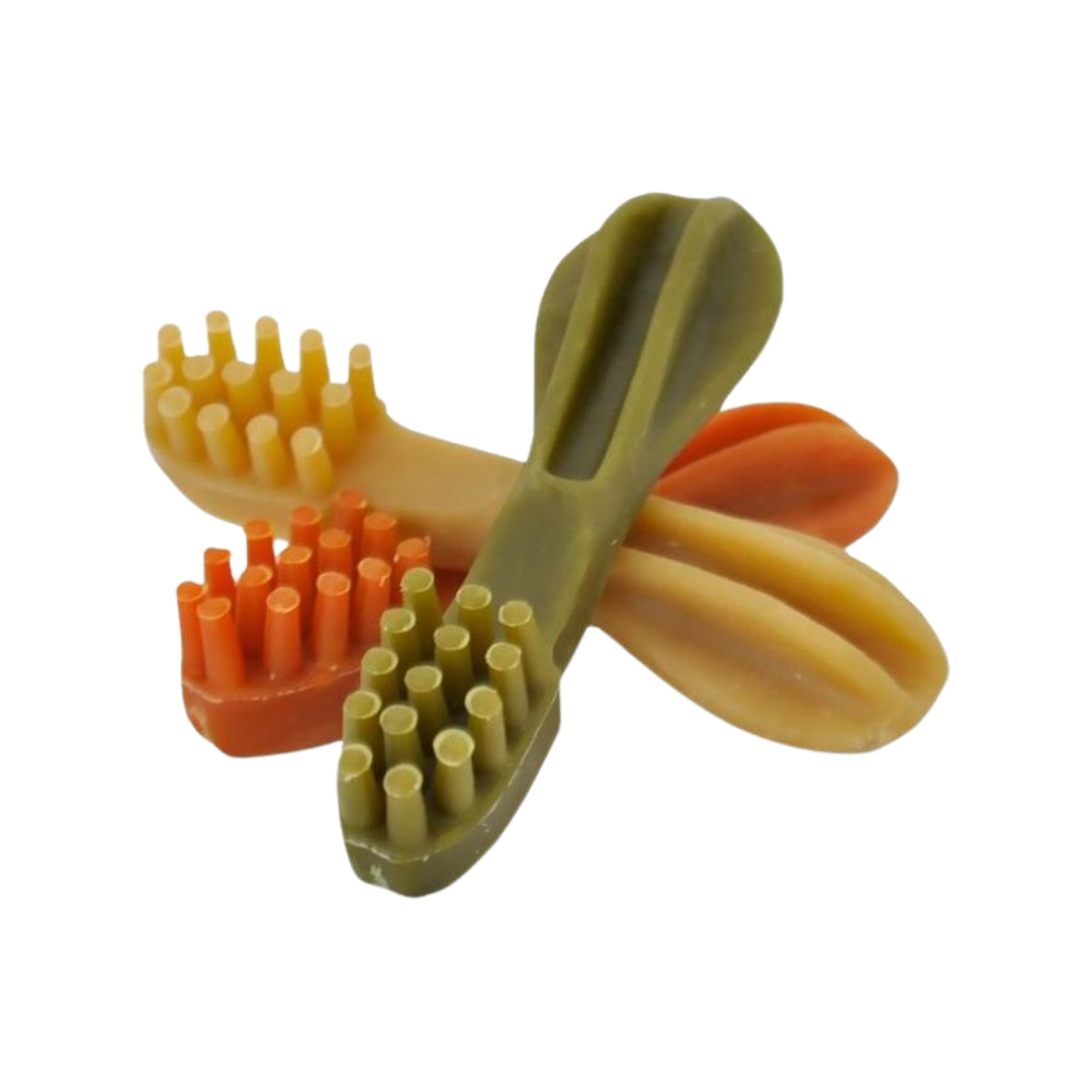 Brosse à Dents Végétale