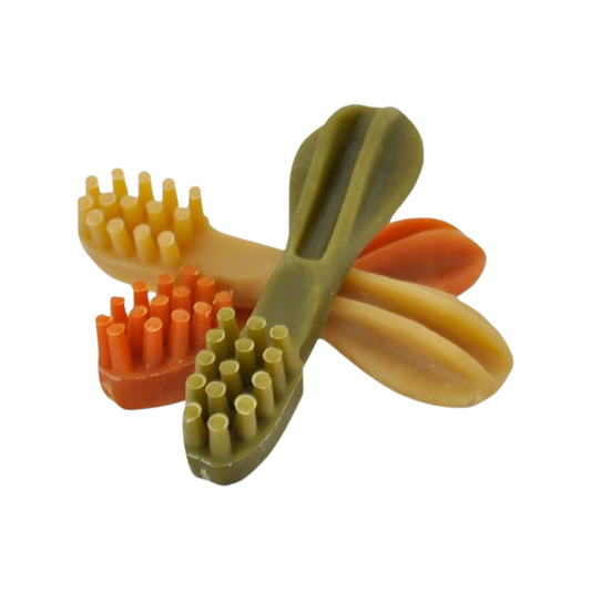 Brosse à Dents Végétale