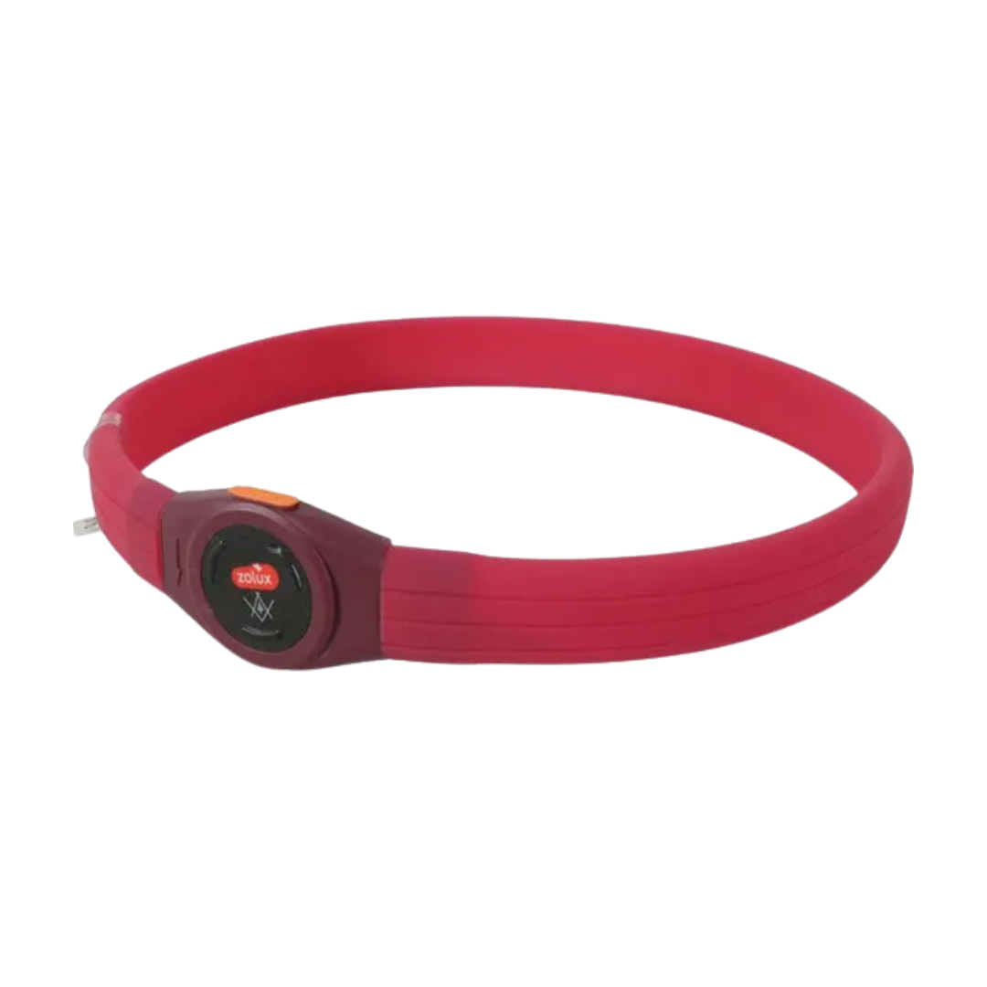 Zolux Bivouak – Collier Lumineux Poils Long