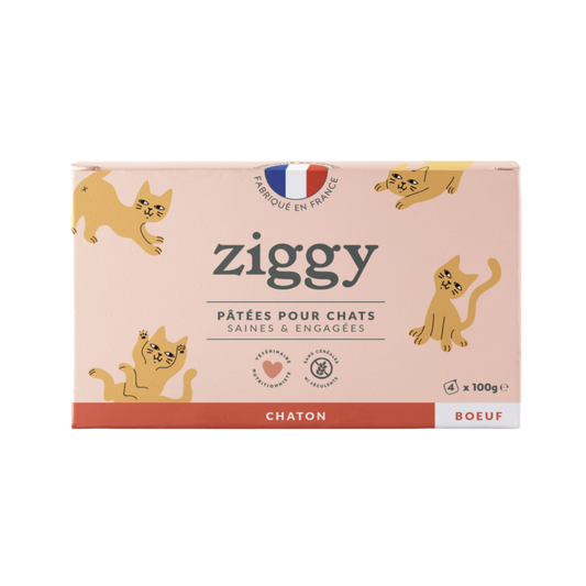 Ziggy - Pâtée Chaton au Boeuf 4x100g