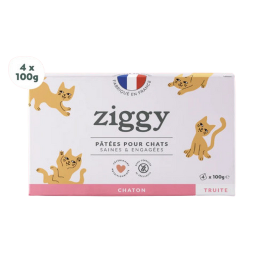 Ziggy - Pâtée Chaton à la Truite 4x100g