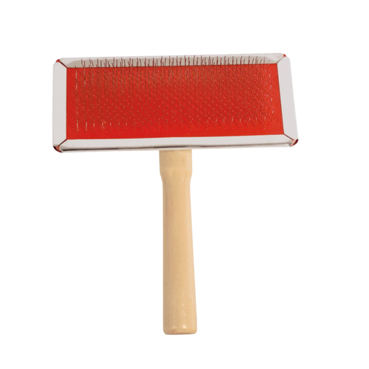 Carde picots souples manche en bois