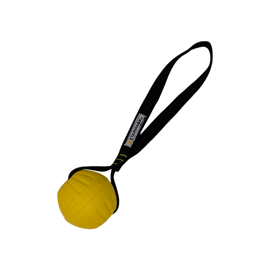 Starmark GripCord DuraFoam Ball