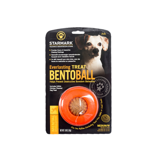 Starmark Everlasting Treat Bento Ball