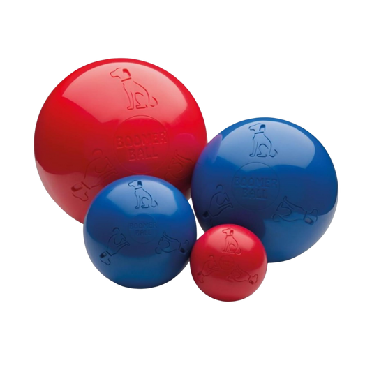 Boomer Ball L,XL