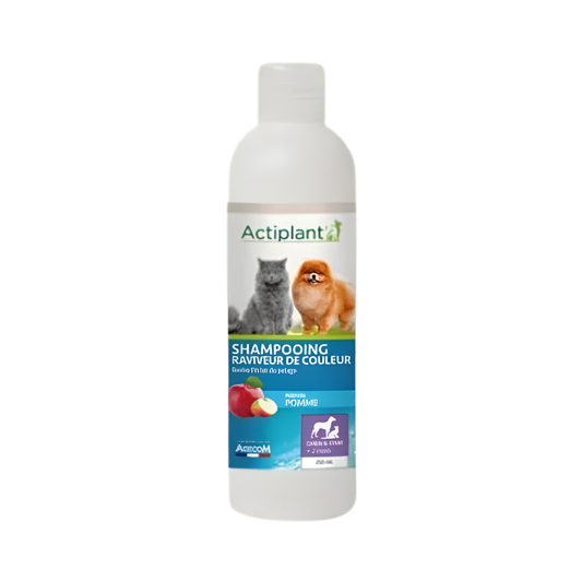 Actiplant Shampooing raviveur de couleur 250ml