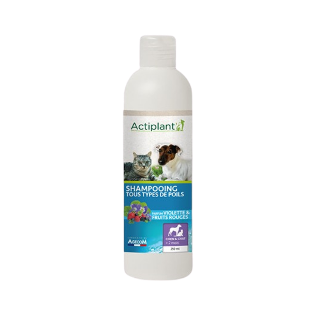 Actiplant Shampooing Tous types de poils 250ml
