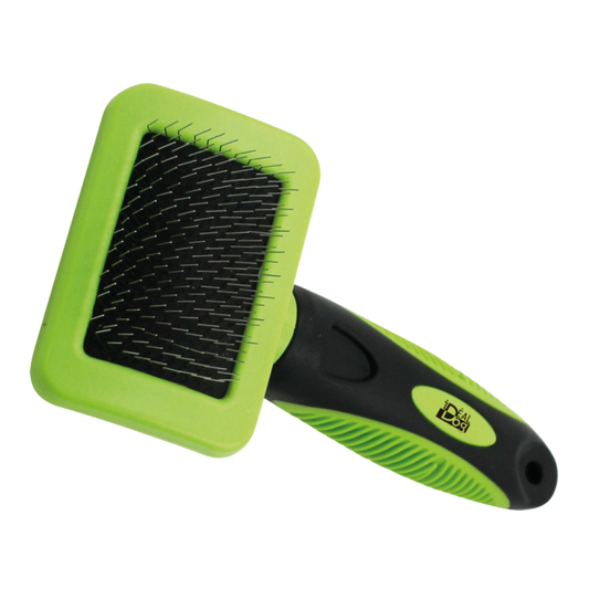 Carde Ergonomique