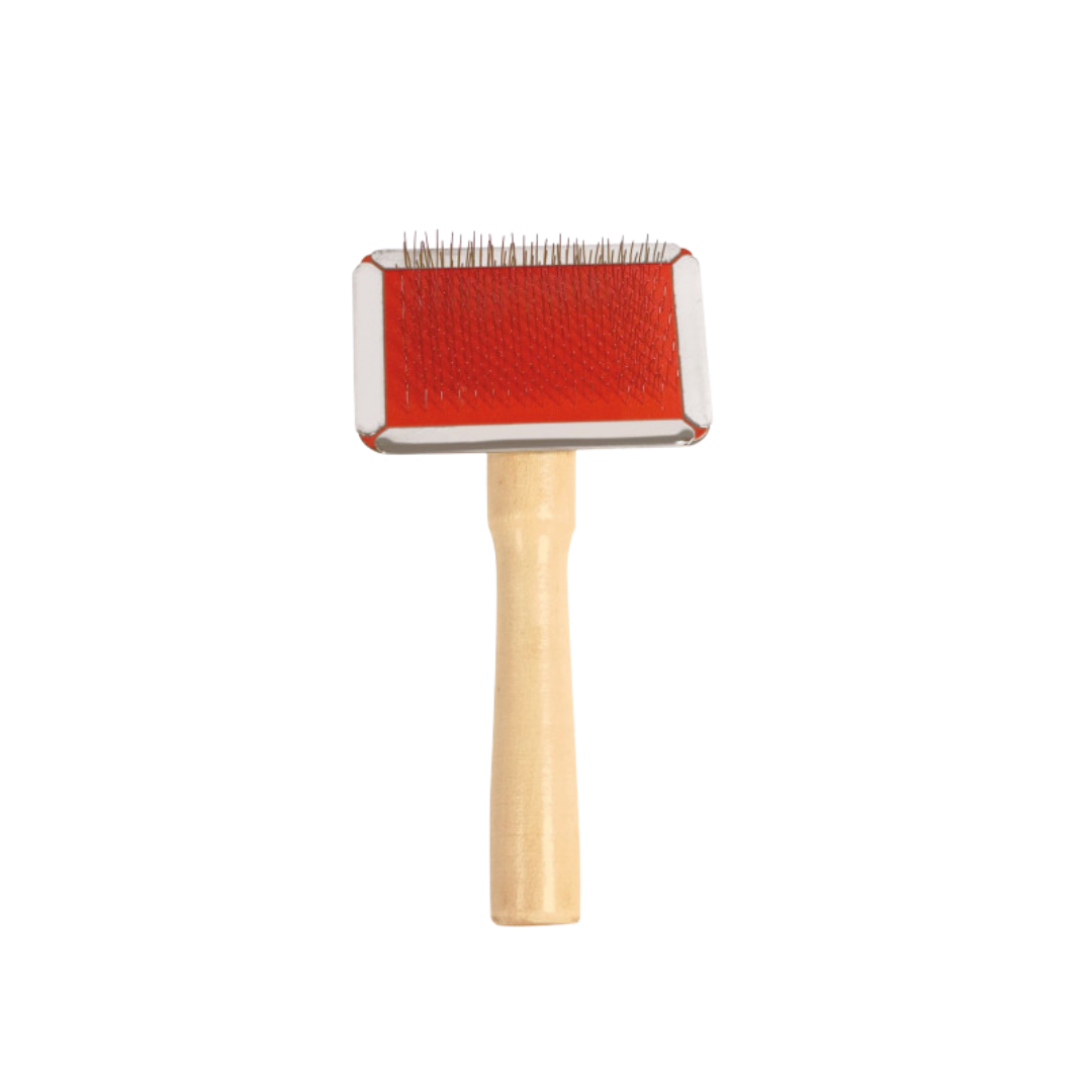 Carde picots souples manche en bois