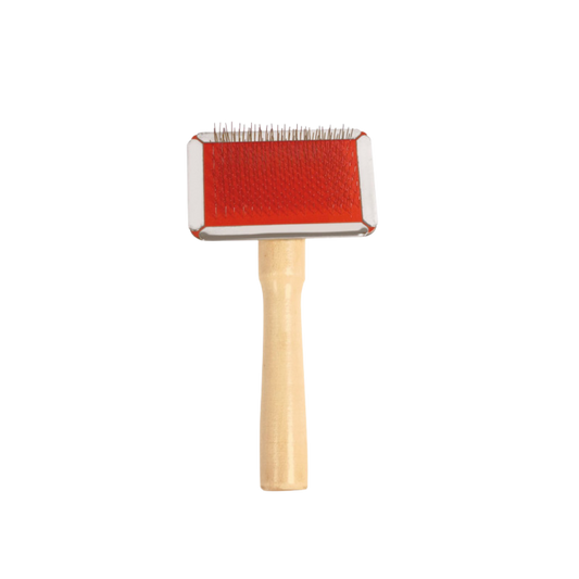 Carde picots souples manche en bois