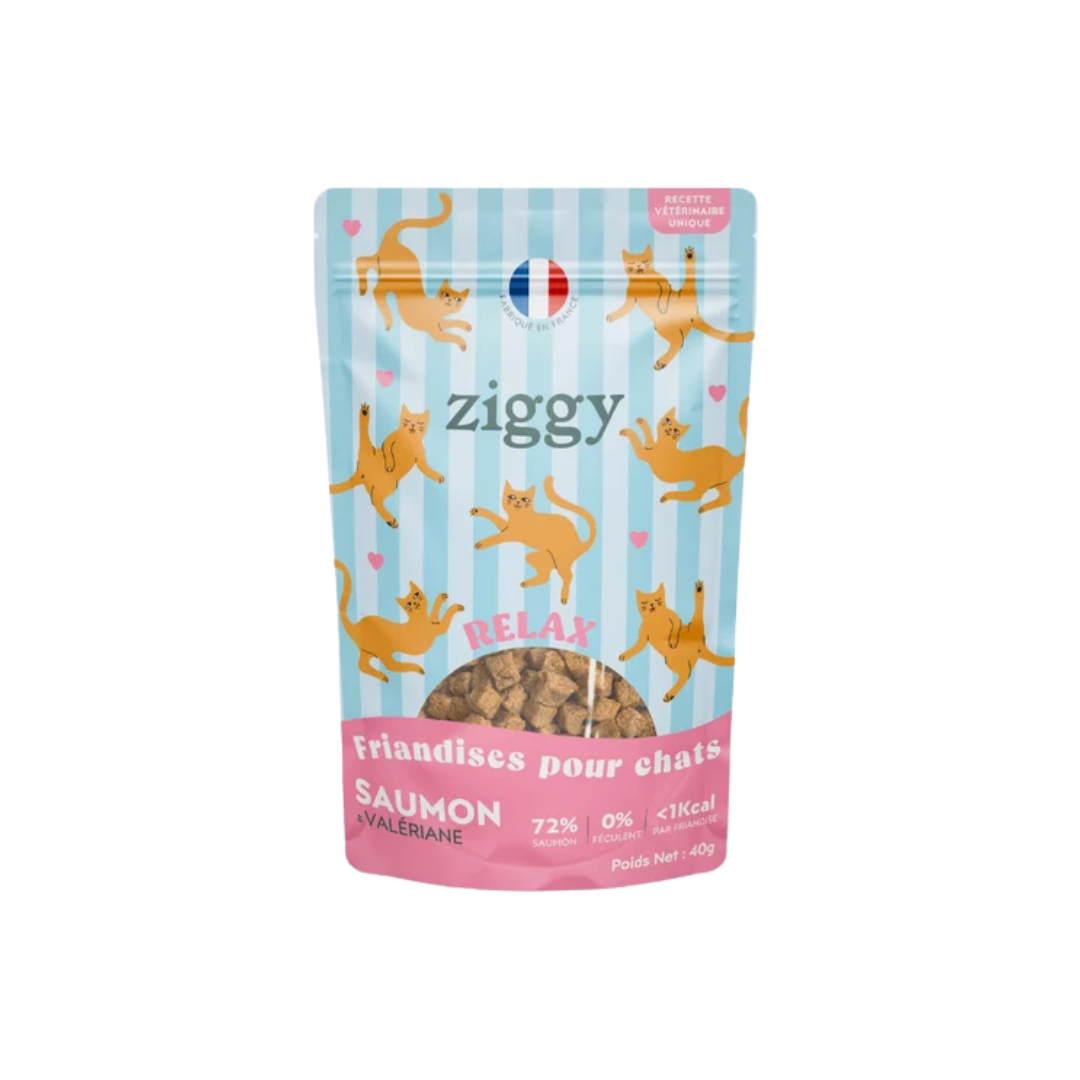 Ziggy Friandises Relax au Saumon 40gr