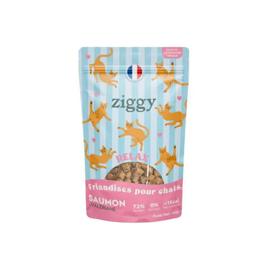 Ziggy Friandises Relax au Saumon 40gr
