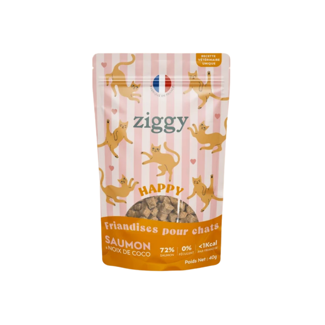 Ziggy Friandises Happy au Saumon 40gr