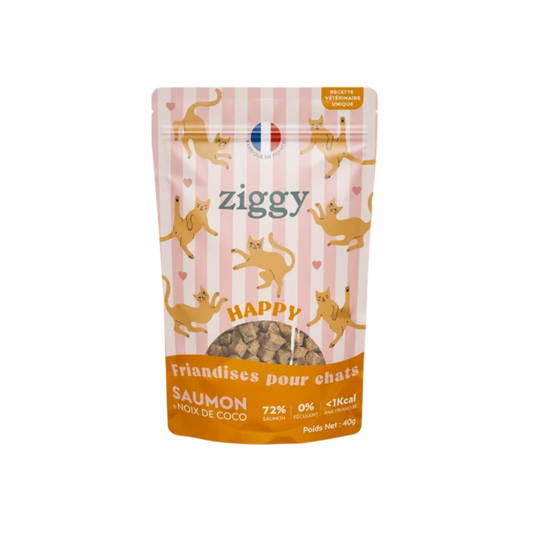 Ziggy Friandises Happy au Saumon 40gr