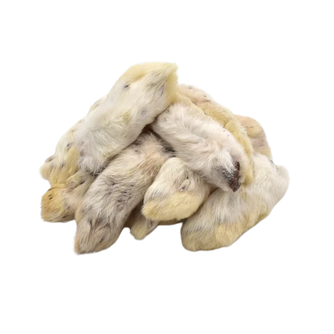 Patte de Lapin Poilue
