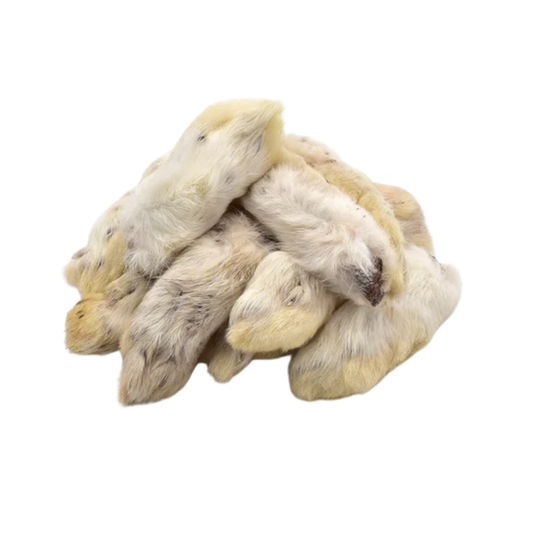 Patte de Lapin Poilue