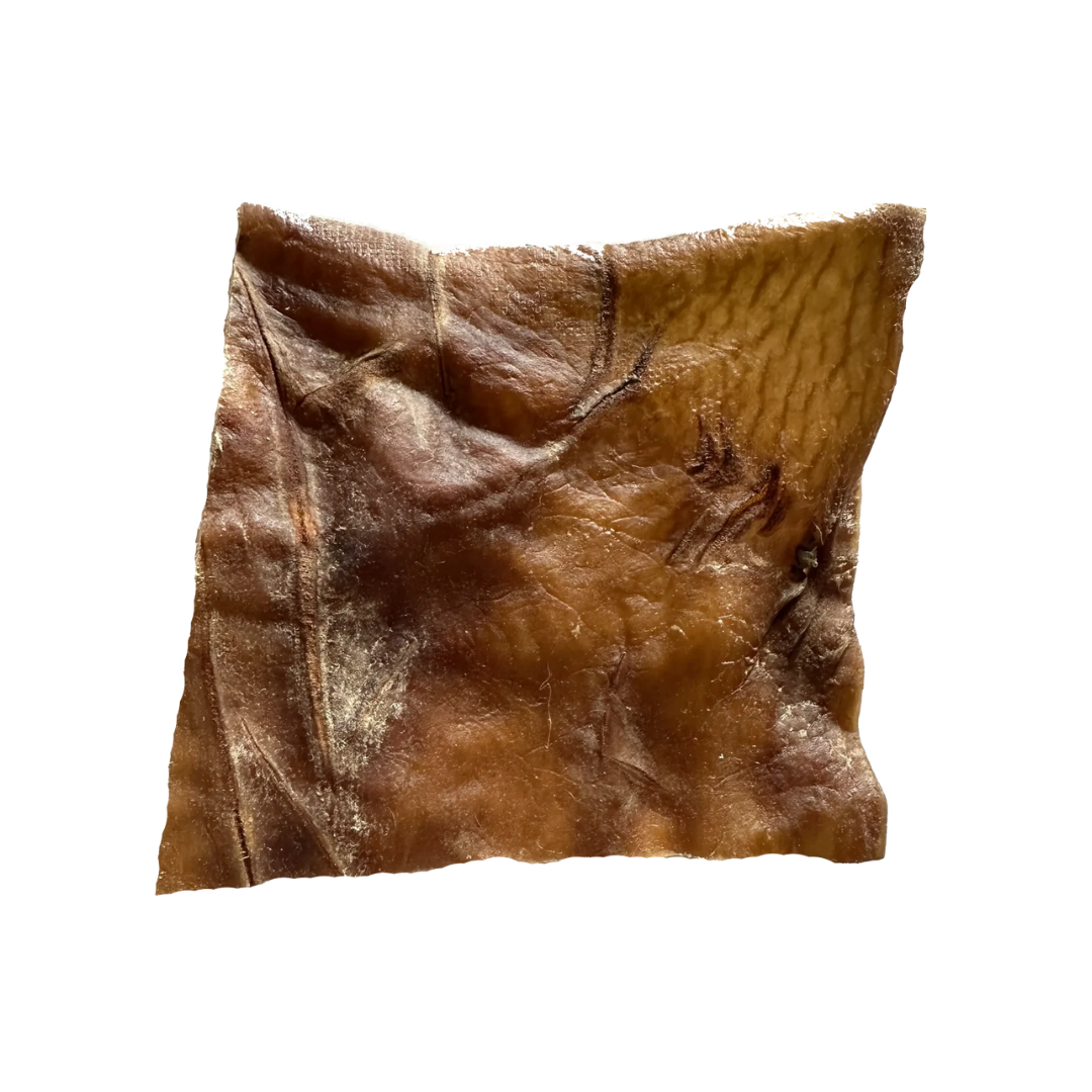 Plaque de Peau de Cheval