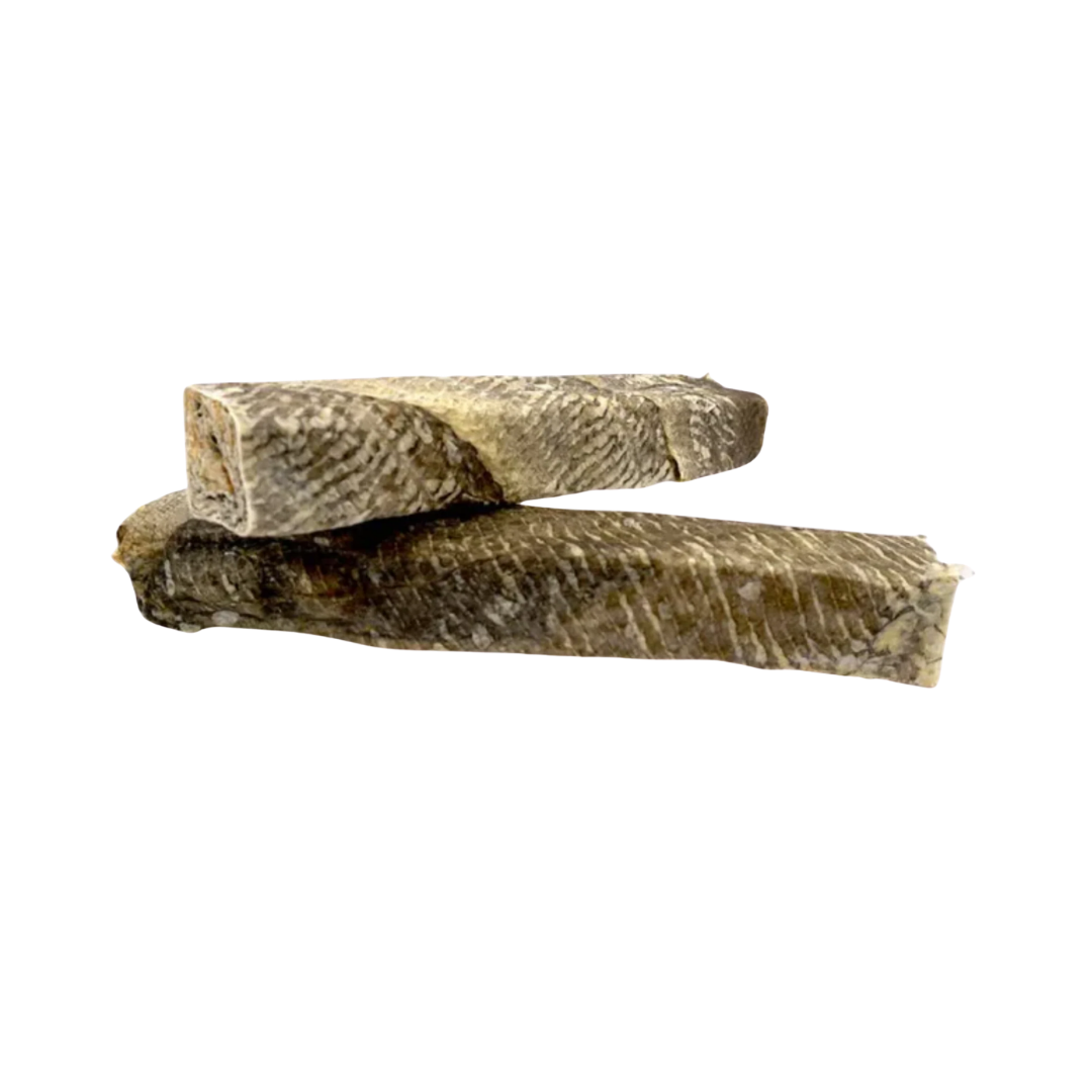 Briquette de Loup de Mer