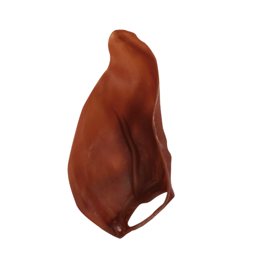 Oreille de porc Végétale