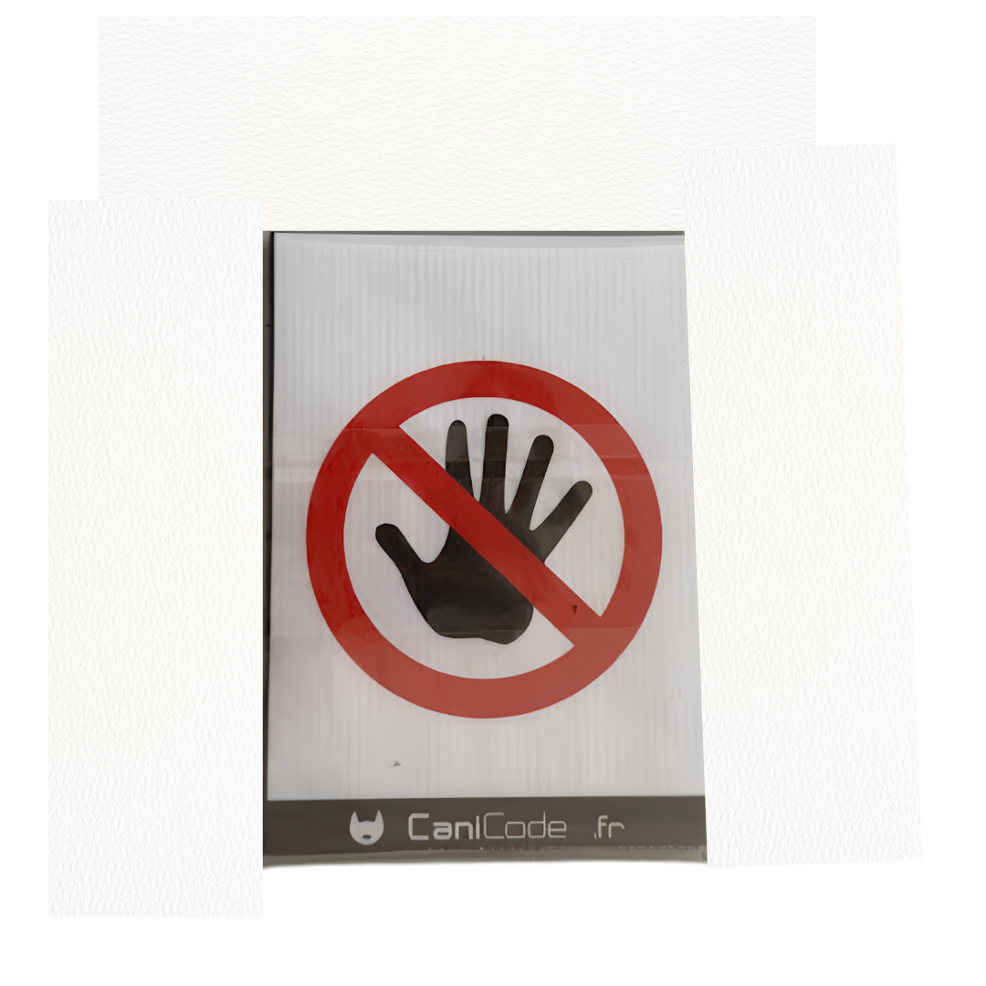 Scratch Picto Canicode Main