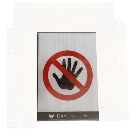 Scratch Picto Canicode Main