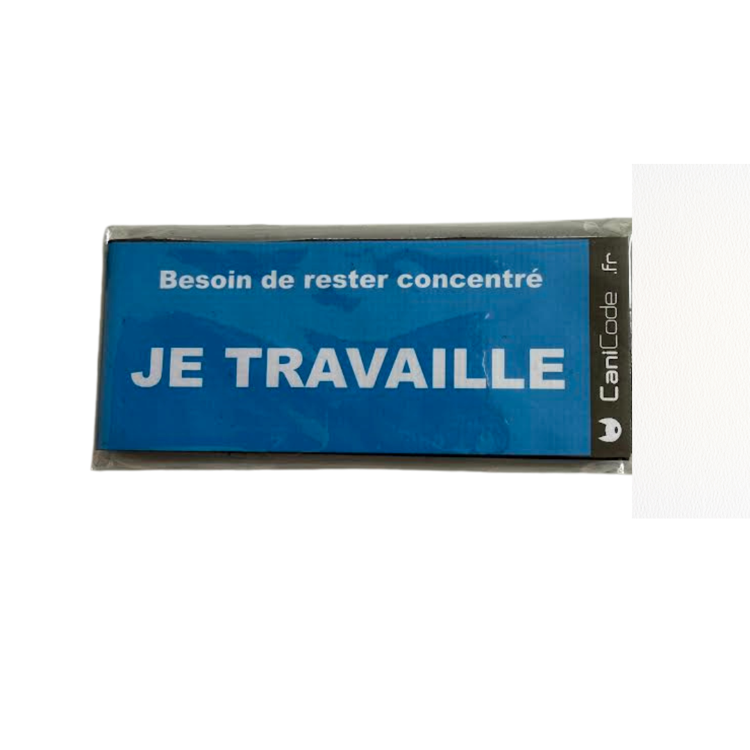 Scratch Canicode "Je travaille"
