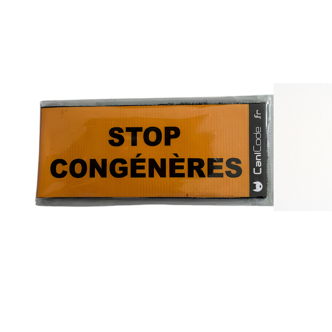 Scratch Canicode "Stop congénères"