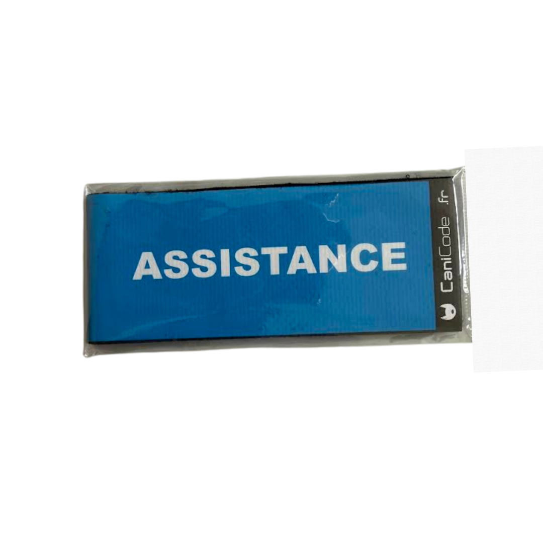 Scratch Canicode "Assistance"