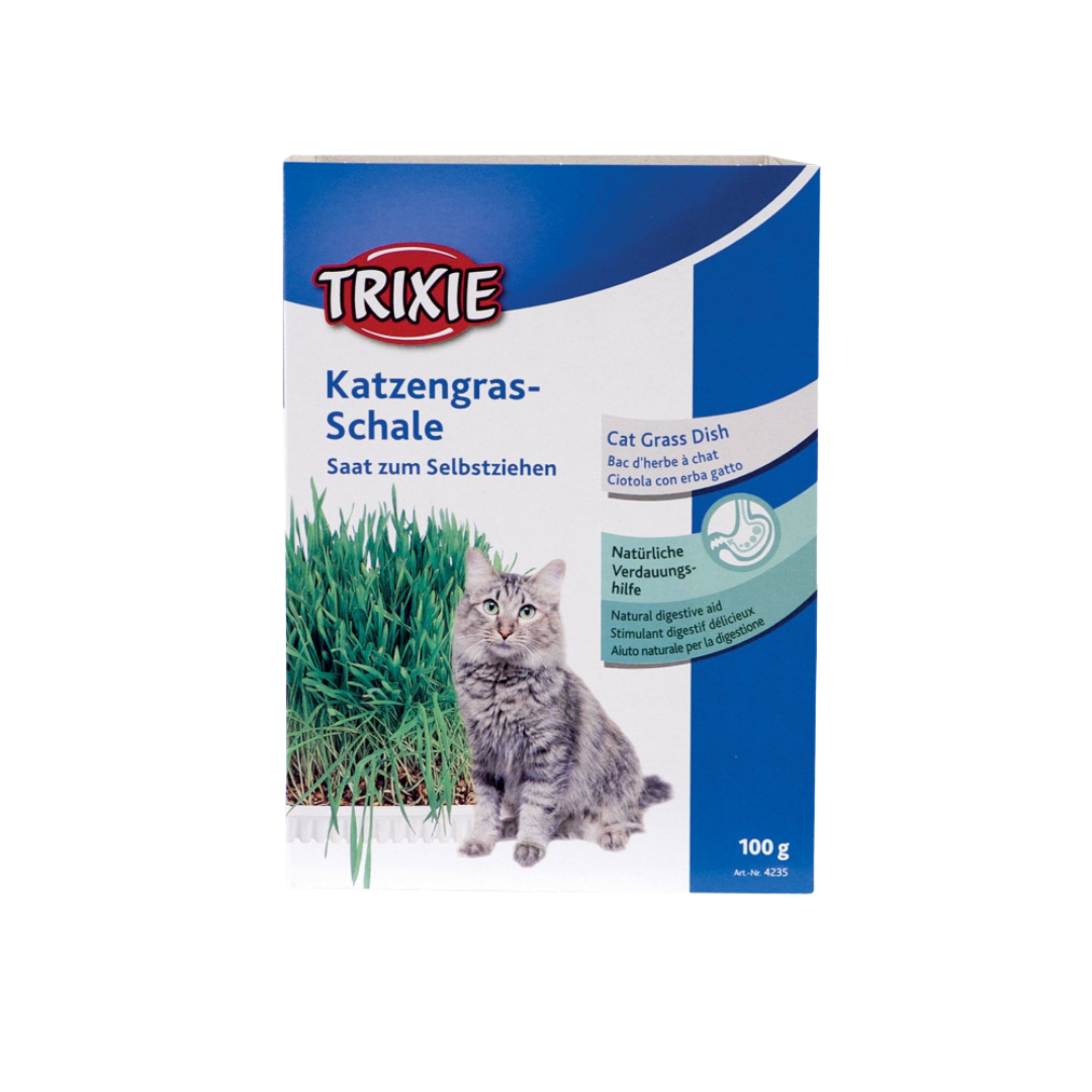 Herbe à chat 100gr