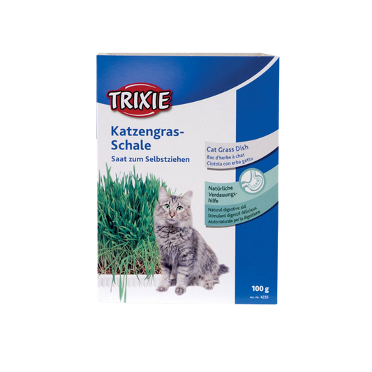 Herbe à chat 100gr