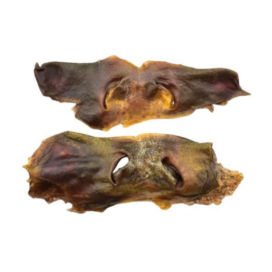 Museau de Boeuf Sans Poils XL