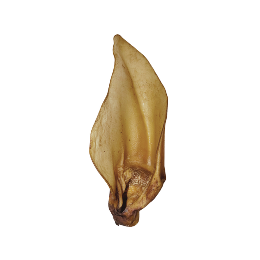 Oreille de Boeuf