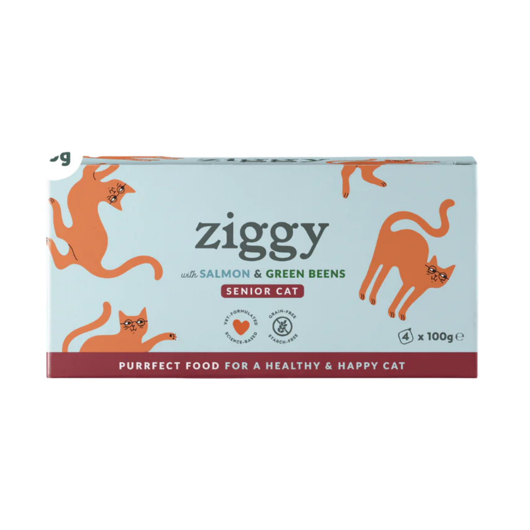 Ziggy - Pâtée Chat Sénior au Saumon 4x100g