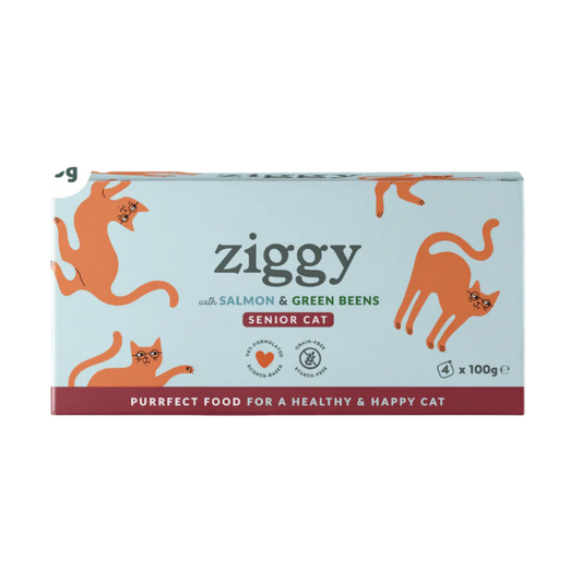 Ziggy - Pâtée Chat Sénior au Saumon 4x100g