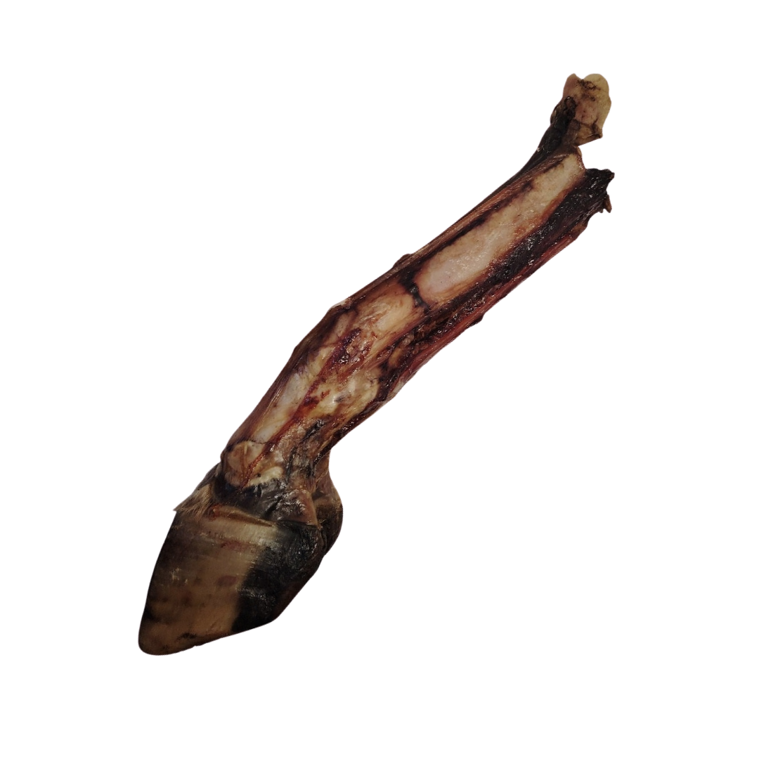Pied de Boeuf avec Sabot XXL