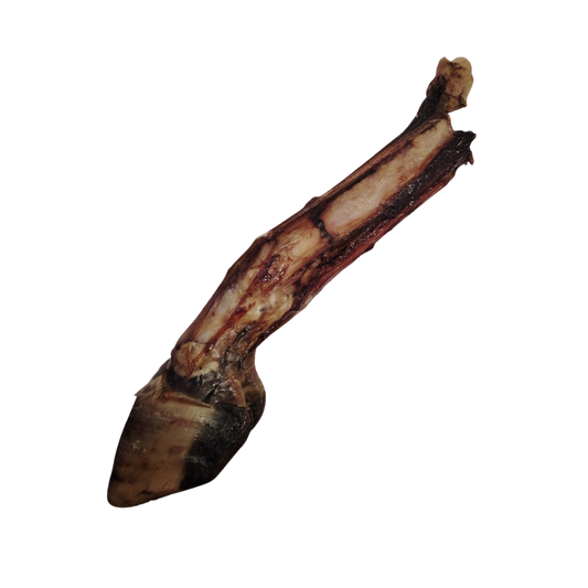 Pied de Boeuf avec Sabot XXL